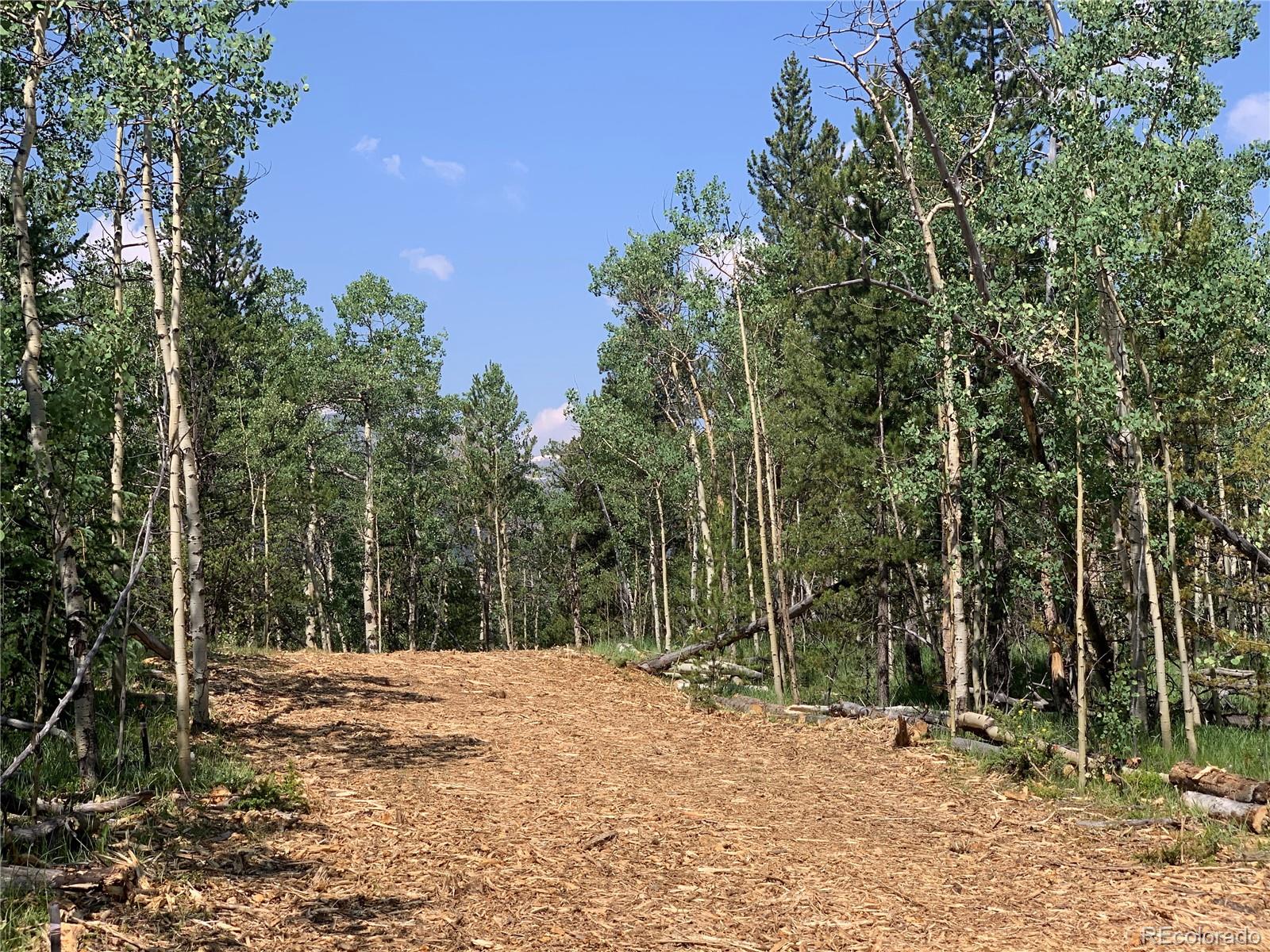 Homes for sale in Alma, CO | 99 Dead Toad Rd, Alma, CO 80420 | MLS# 2408610