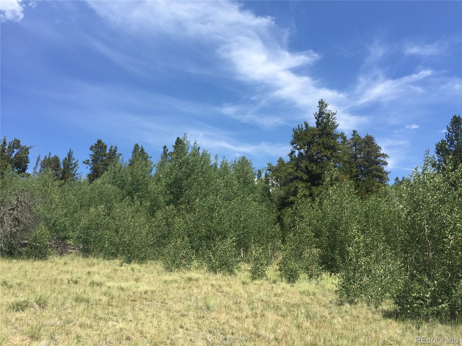 Homes for sale in Alma, CO | 99 Dead Toad Rd, Alma, CO 80420 | MLS# 2408610
