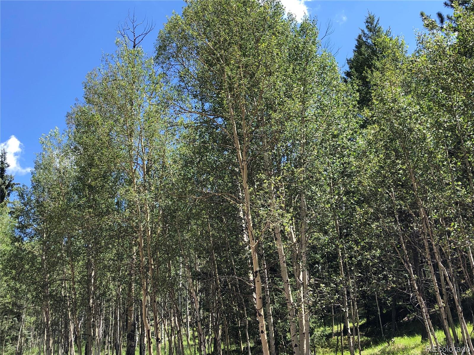 Homes for sale in Florissant, CO | 3015 N Mountain Estates Rd, Florissant, CO 80816 | MLS# 2874736