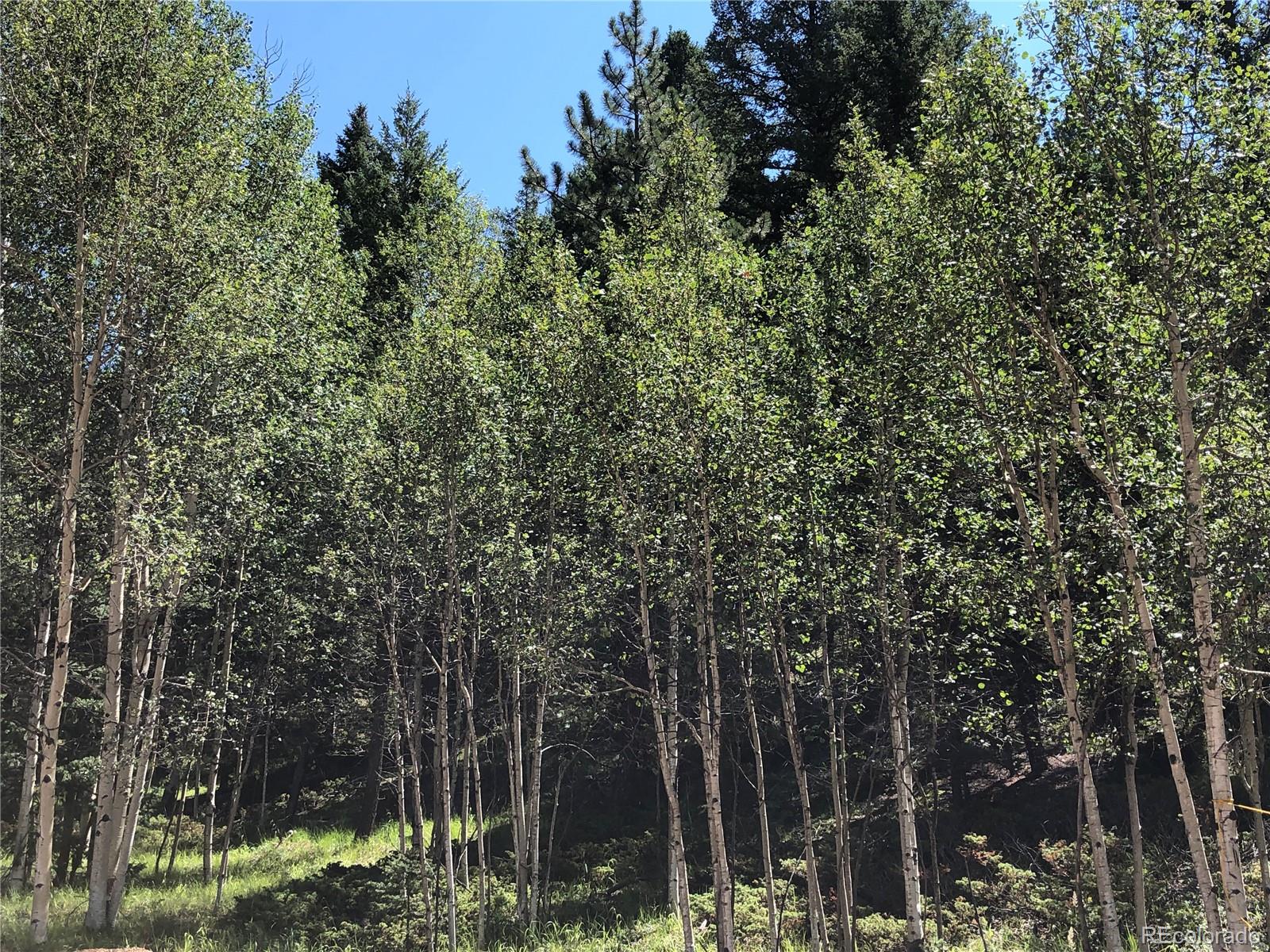 Homes for sale in Florissant, CO | 3015 N Mountain Estates Rd, Florissant, CO 80816 | MLS# 2874736