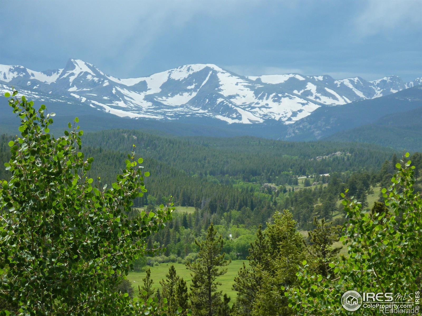 Homes for sale in Ward, CO | (Undisclosed), Ward, CO 80481 | MLS# IR988470