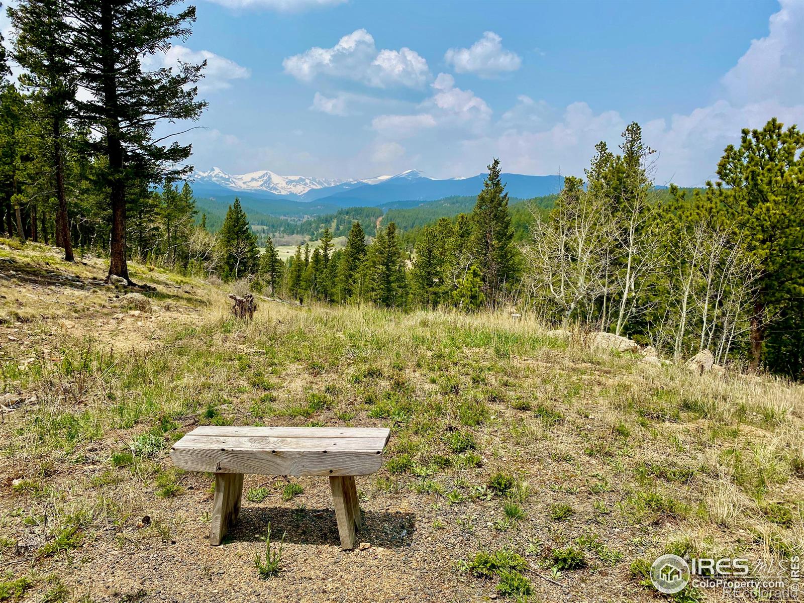 Homes for sale in Ward, CO | (Undisclosed), Ward, CO 80481 | MLS# IR988470