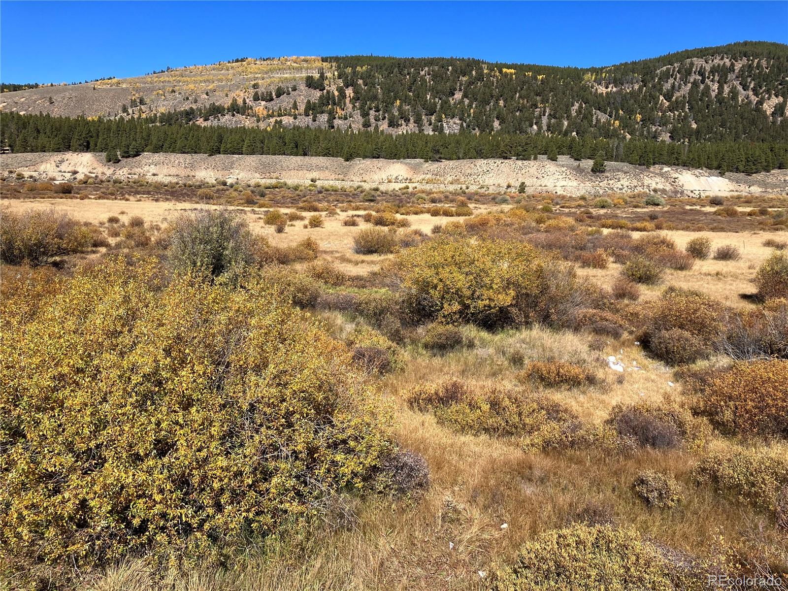Leadville Land, Leadville, CO 00000 MLS 2078795 Houzeo