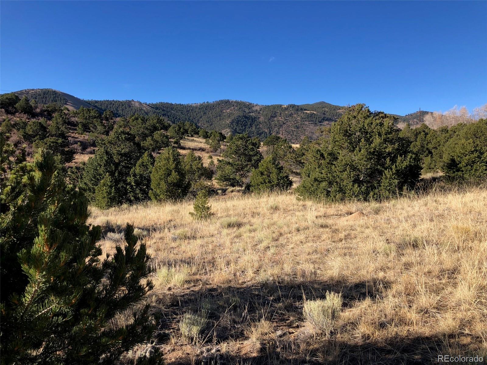 Homes for sale in Salida, CO | (Undisclosed), Salida, CO 81201 | MLS# 2294794