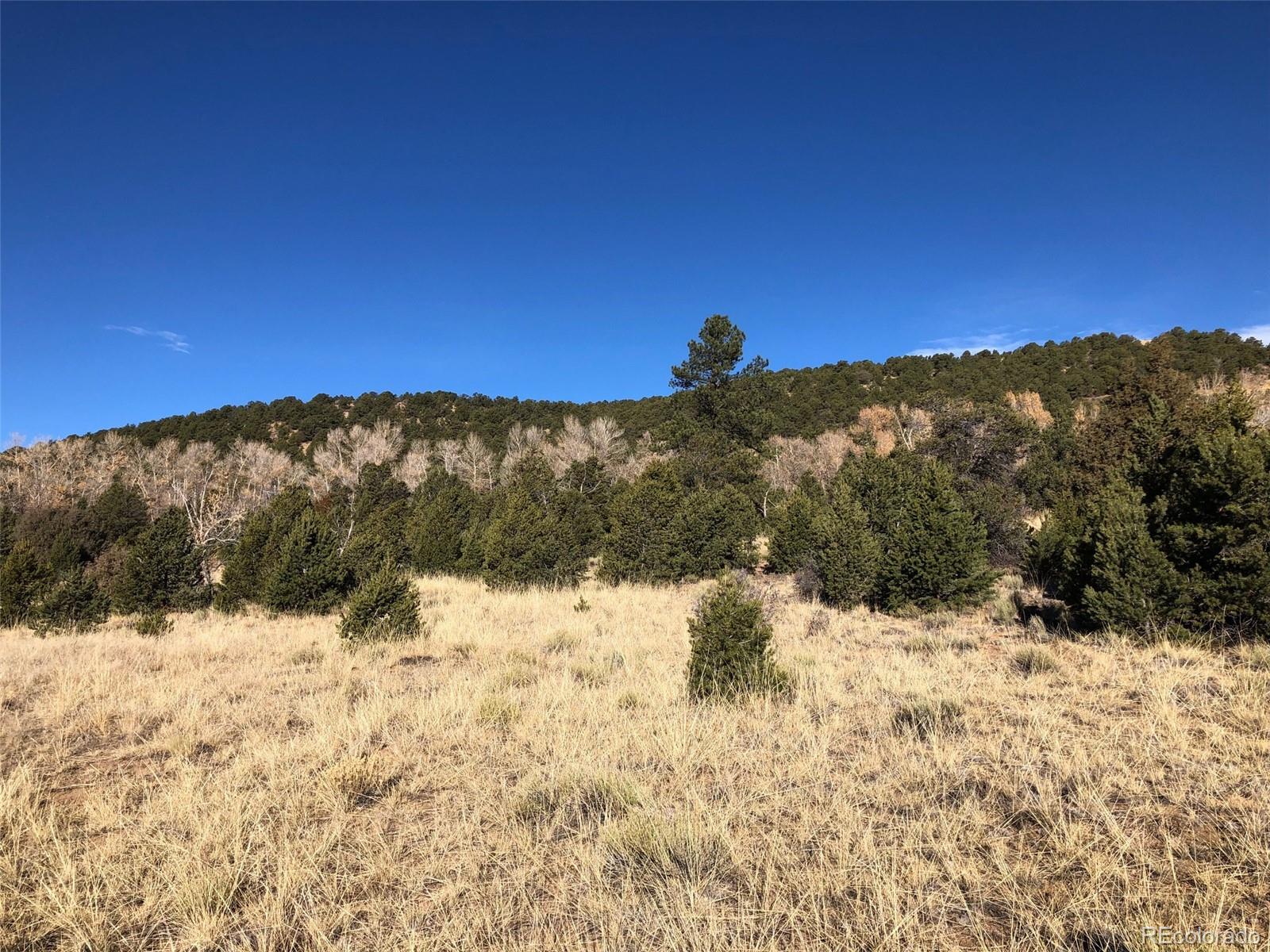Homes for sale in Salida, CO | (Undisclosed), Salida, CO 81201 | MLS# 2294794