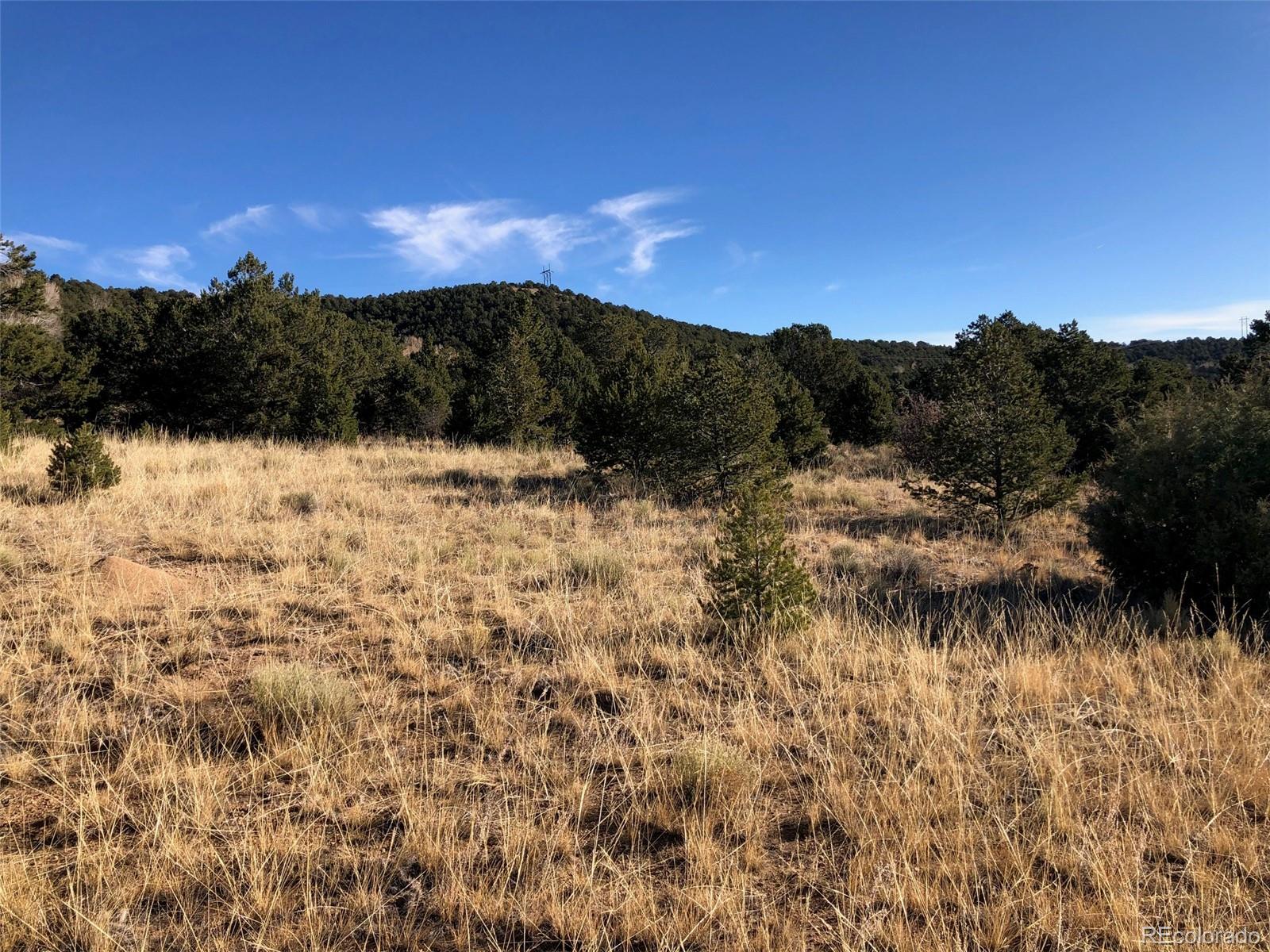 Homes for sale in Salida, CO | (Undisclosed), Salida, CO 81201 | MLS# 2294794