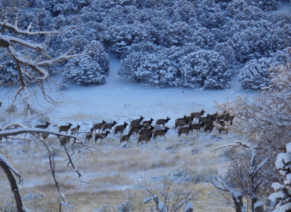 Homes for sale in Gardner, CO | 693 County Road 572, Gardner, CO 81040 | MLS# 5779128