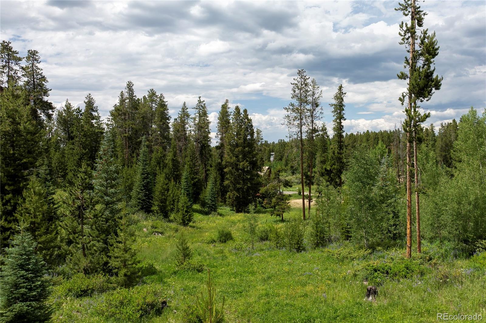 Homes for sale in Fraser, CO | 16 County Rd 8343/elk Ct, Fraser, CO 80442 | MLS# 1853284