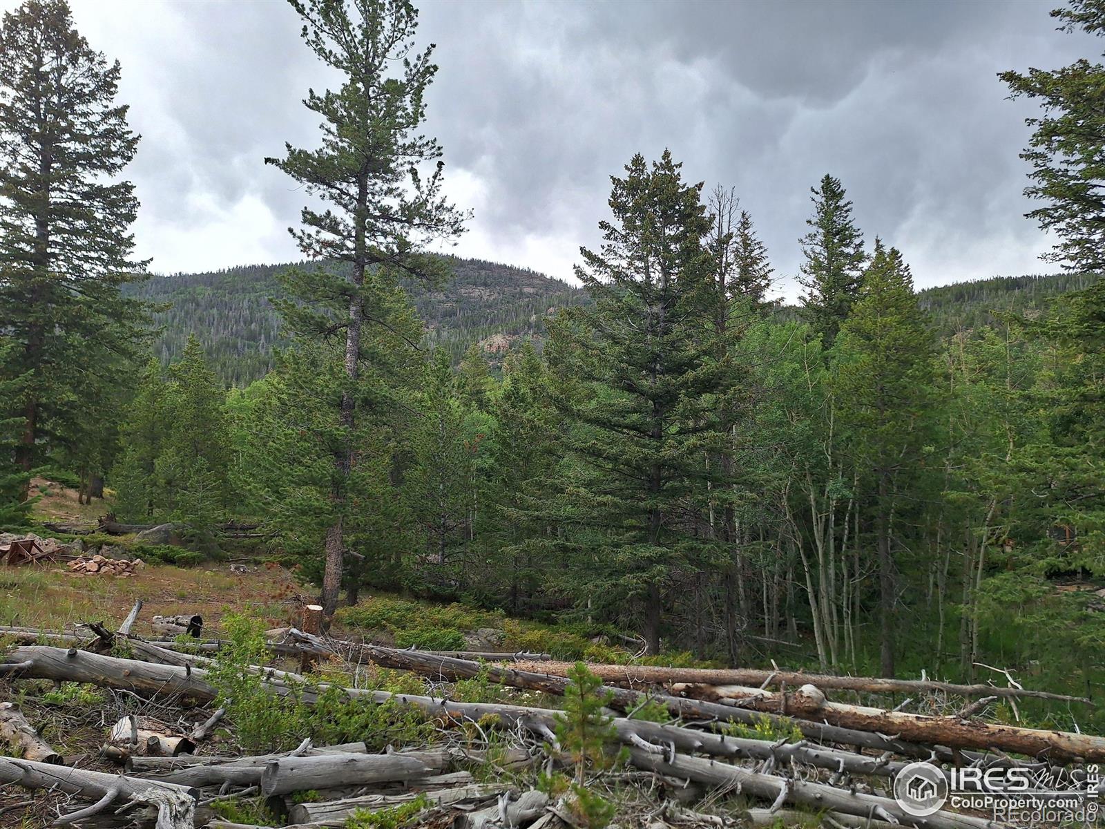 Homes for sale in Red Feather Lakes, CO | 204 Sutiki Dr, Red Feather Lakes, CO 80545 | MLS# IR1029451