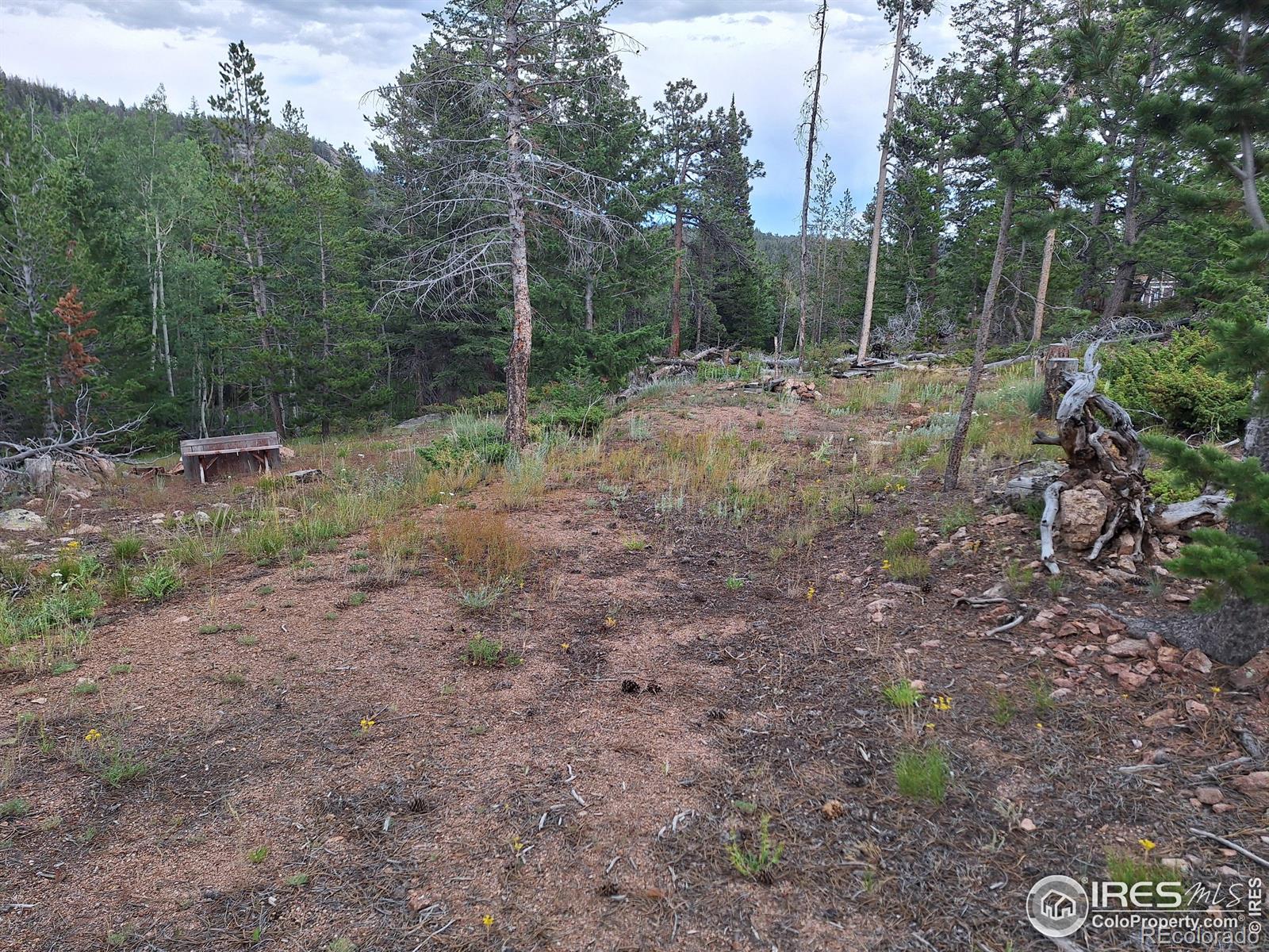 Homes for sale in Red Feather Lakes, CO | 204 Sutiki Dr, Red Feather Lakes, CO 80545 | MLS# IR1029451