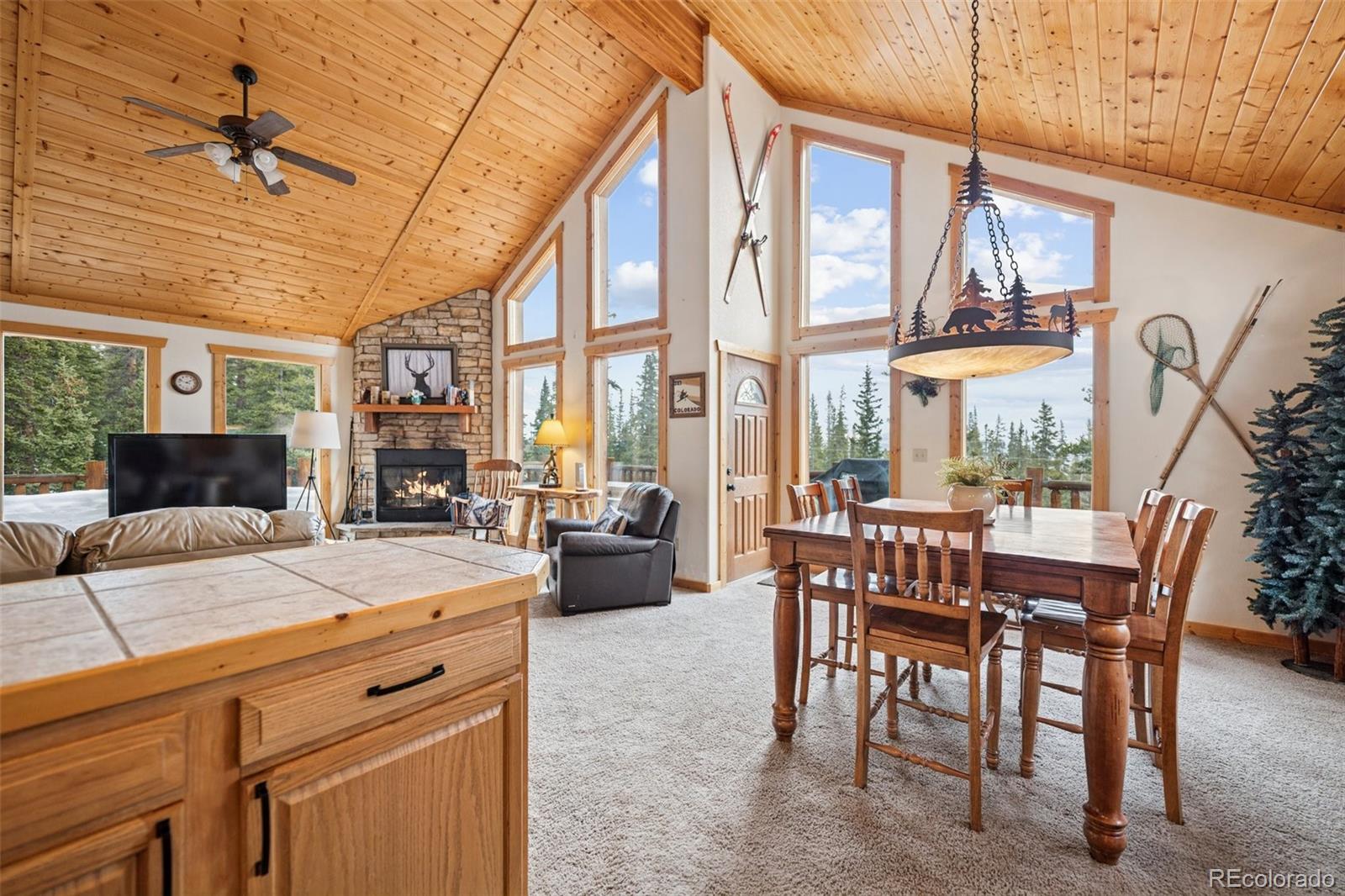 5th image of 585 Miners Way, Fairplay, CO 80440 | MLS# 7160018