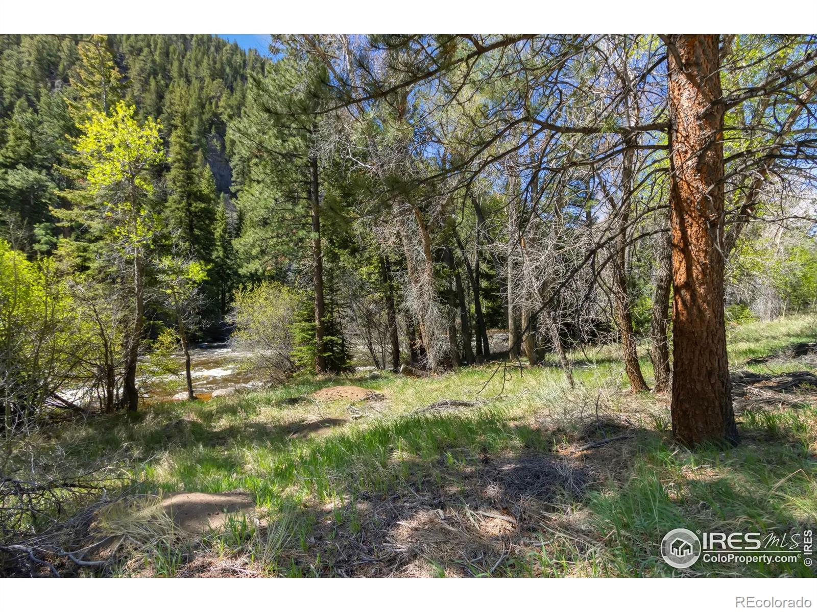 Homes for sale in Bellvue, CO | 34828 W Hwy 14, Bellvue, CO 80512 | MLS# IR1034356