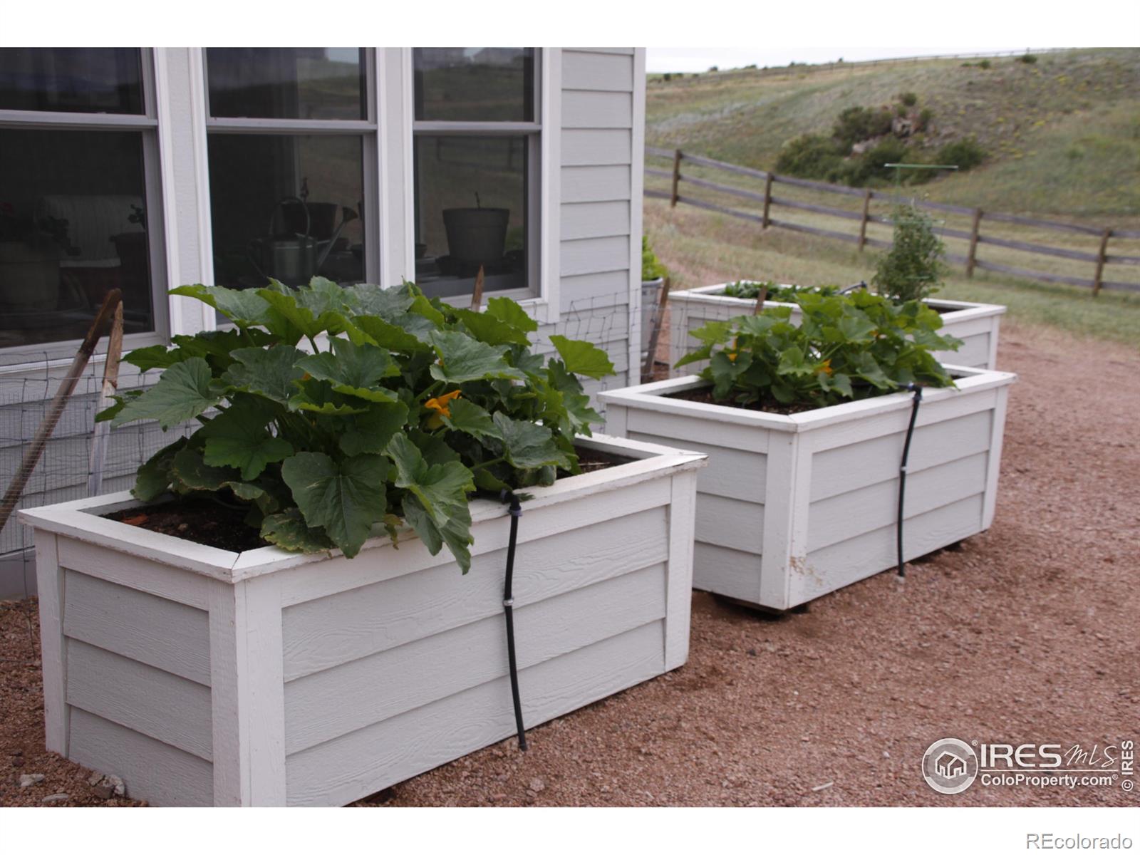 Homes for sale in Livermore, CO | 631 Linecamp Dr, Livermore, CO 80536 | MLS# IR1034823