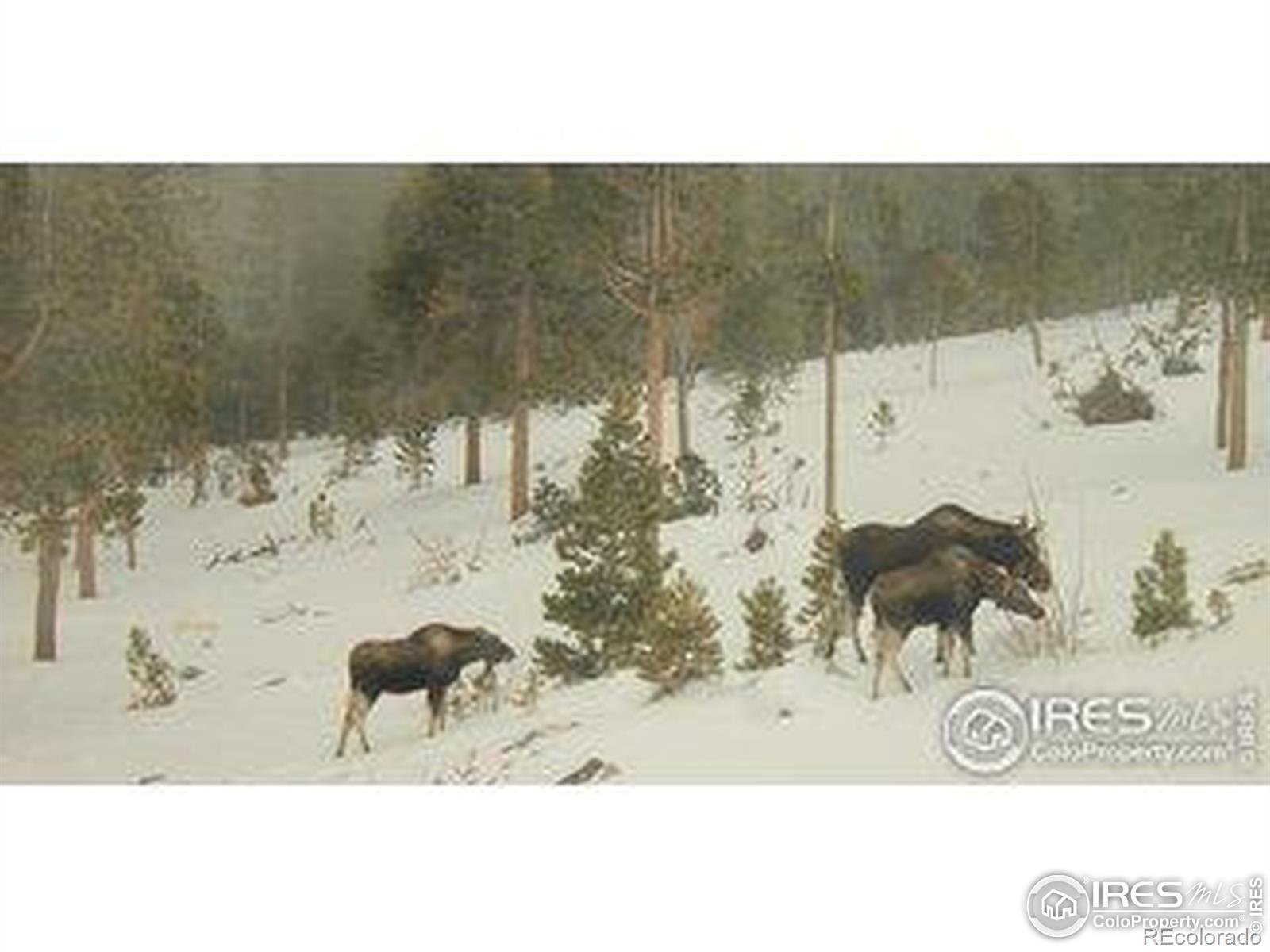 Homes for sale in Black Hawk, CO | 200 Kimwood Rd, Black Hawk, CO 80422 | MLS# IR1035672