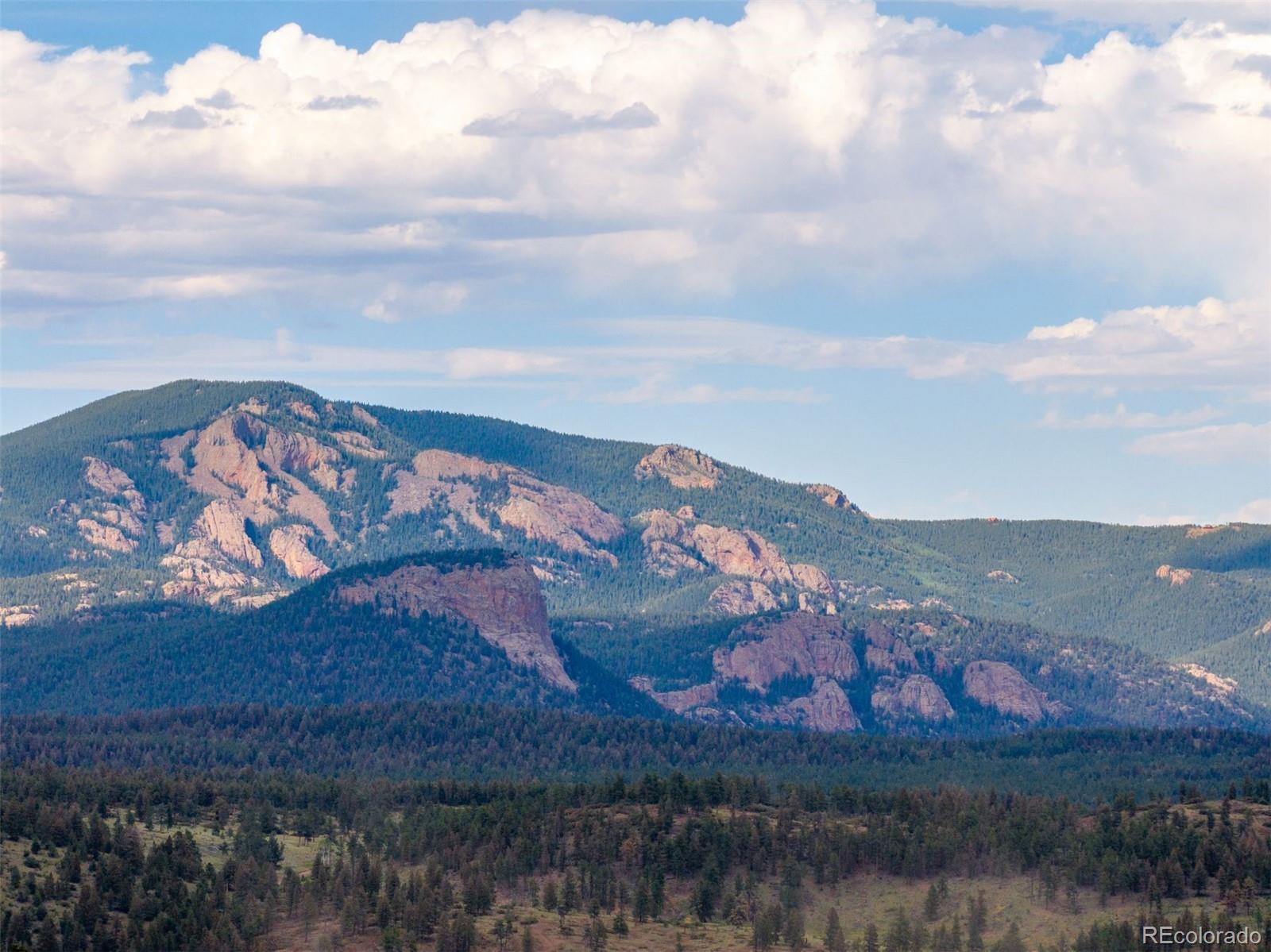 Homes for sale in Bailey, CO | 616 S Pine Dr, Bailey, CO 80421 | MLS# 5585118