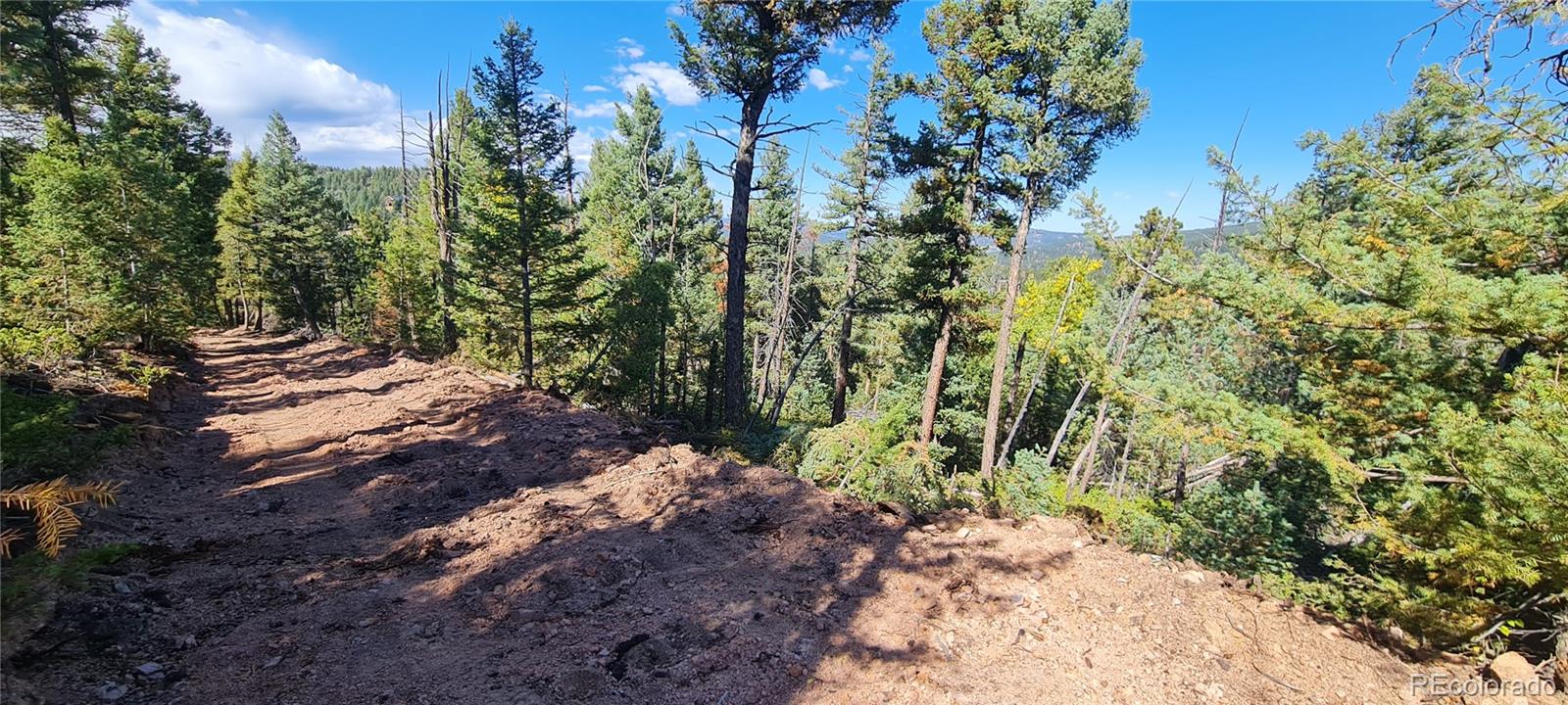 Homes for sale in Conifer, CO | Unknown, Conifer, CO 80433 | MLS# 5251166