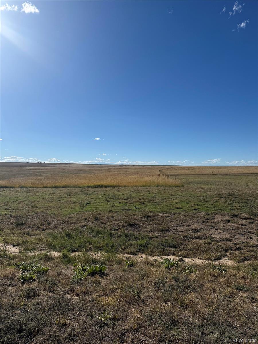 Homes for sale in Strasburg, CO | 7337 Van Sickle St, Strasburg, CO 80136 | MLS# 7730777