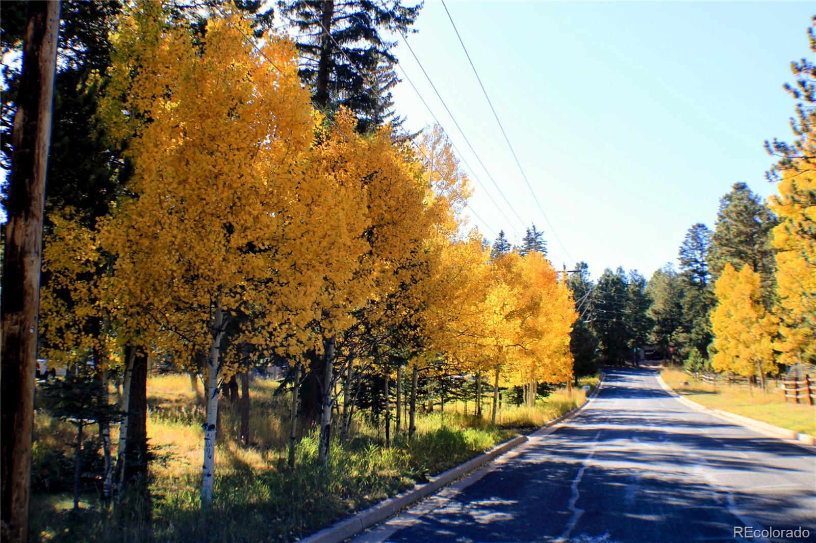 Homes for sale in Woodland Park, CO | 123 Saddle Dr, Woodland Park, CO 80863 | MLS# 7359757