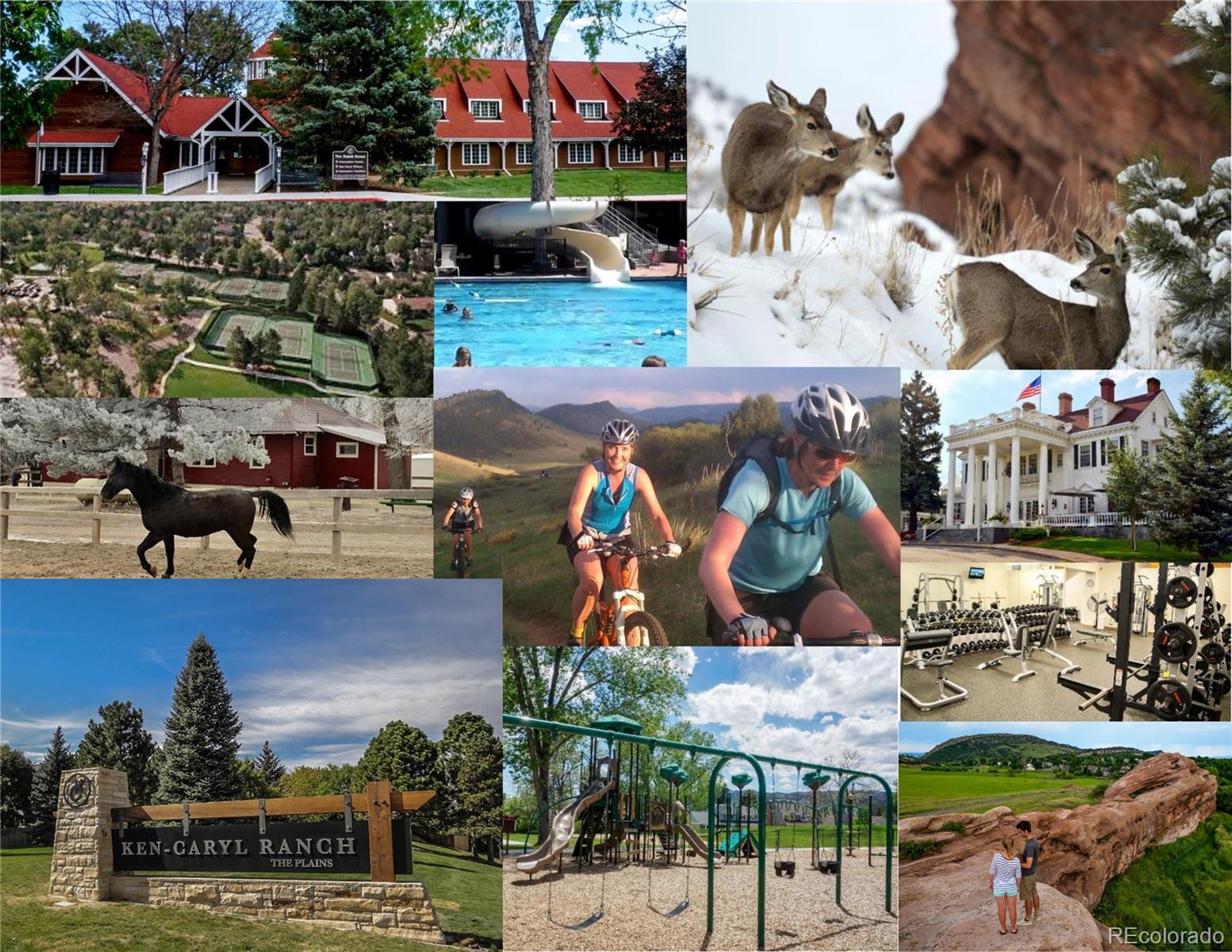 Homes for sale in Littleton, CO | 11781 Elk Head Range Rd, Littleton, CO 80127 | MLS# 7500176