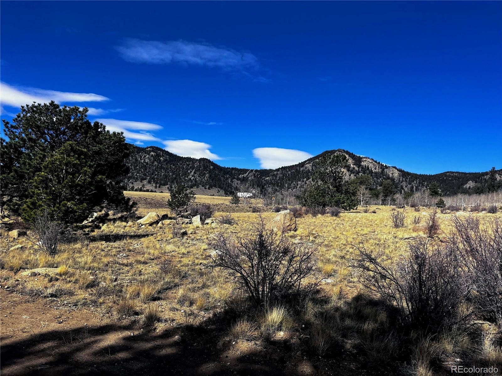 Homes for sale in Lake George, CO | 1975 Garfield Rd, Lake George, CO 80827 | MLS# 8087286