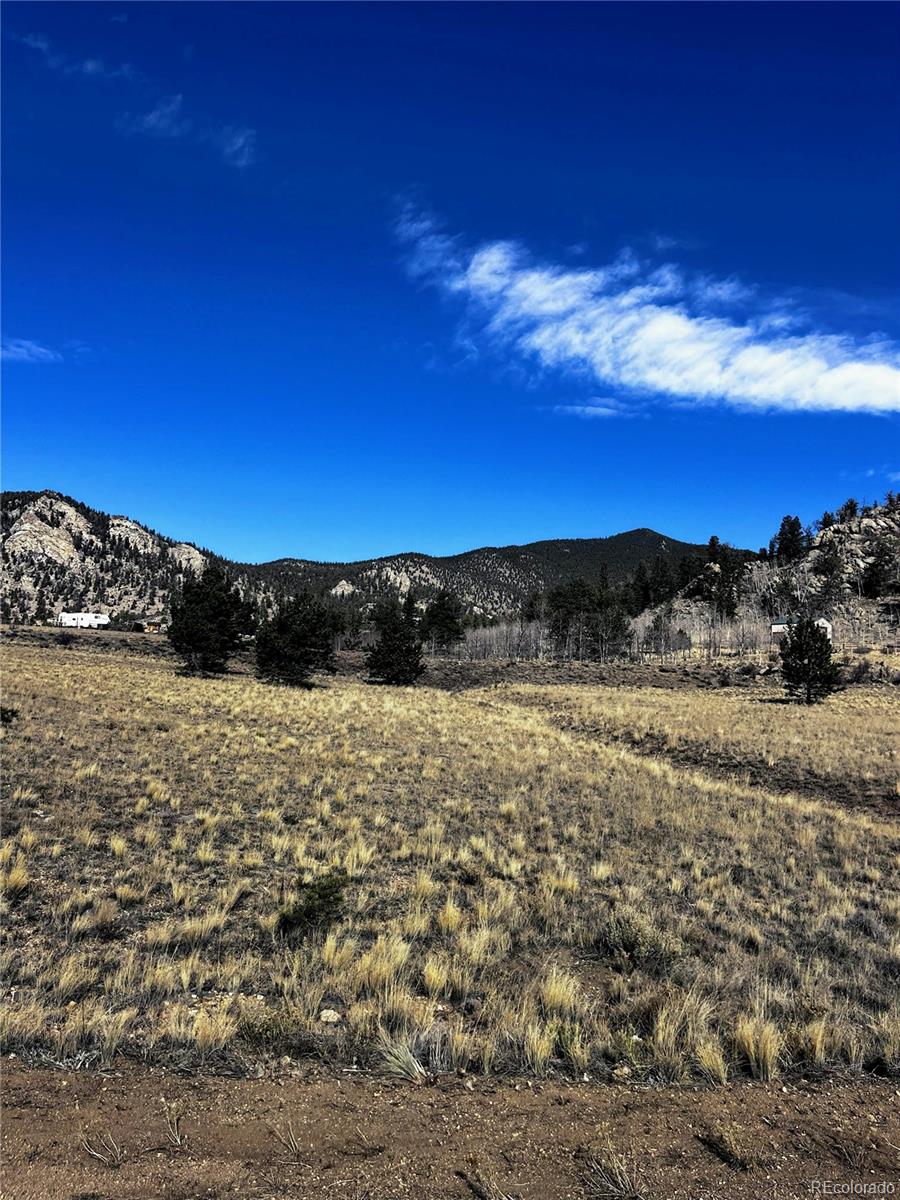 Homes for sale in Lake George, CO | 1975 Garfield Rd, Lake George, CO 80827 | MLS# 8087286