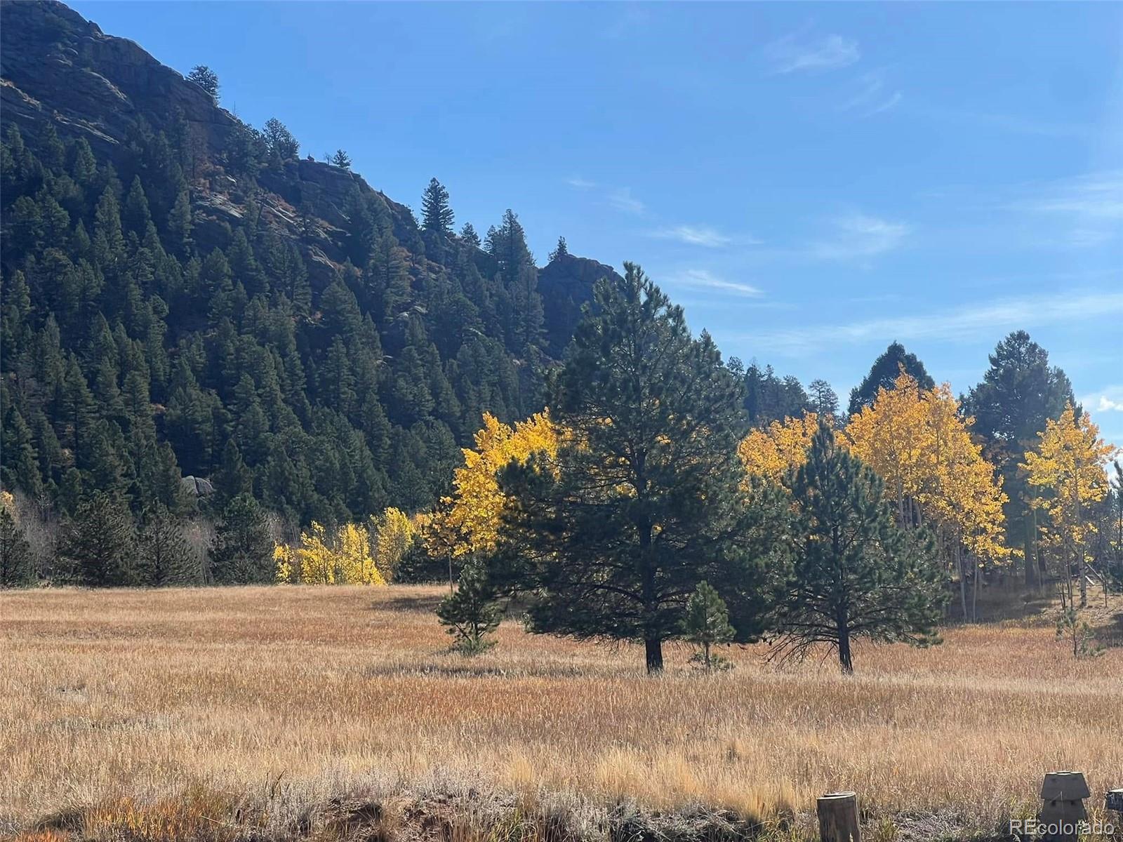 Homes for sale in Lake George, CO | 1965 Vagabond Creek Dr, Lake George, CO 80827 | MLS# 3497194