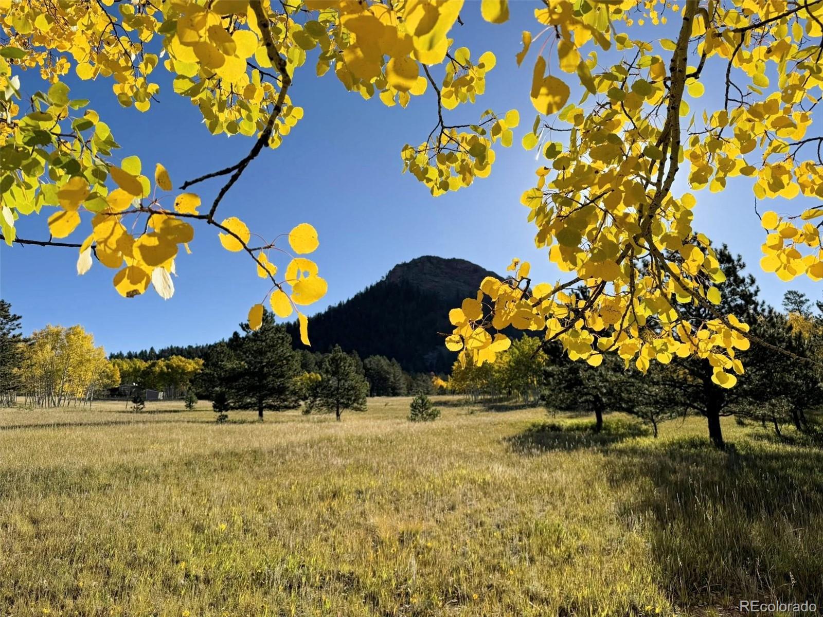 Homes for sale in Lake George, CO | 1965 Vagabond Creek Dr, Lake George, CO 80827 | MLS# 3497194