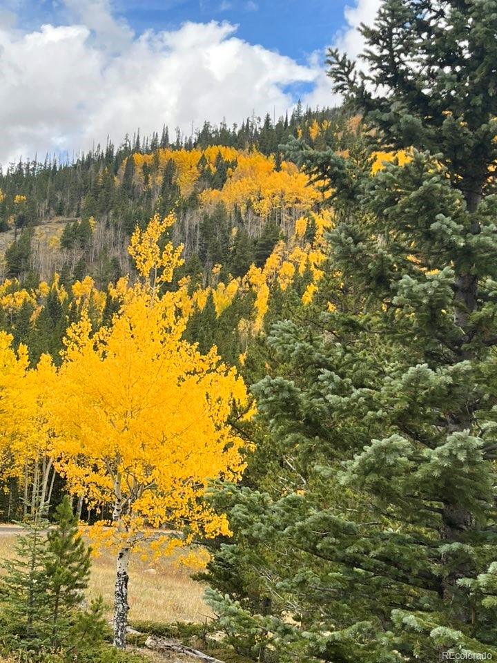 Homes for sale in Lake George, CO | 1965 Vagabond Creek Dr, Lake George, CO 80827 | MLS# 3497194