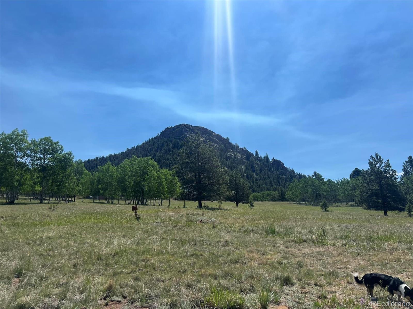 Homes for sale in Lake George, CO | 1965 Vagabond Creek Dr, Lake George, CO 80827 | MLS# 3497194