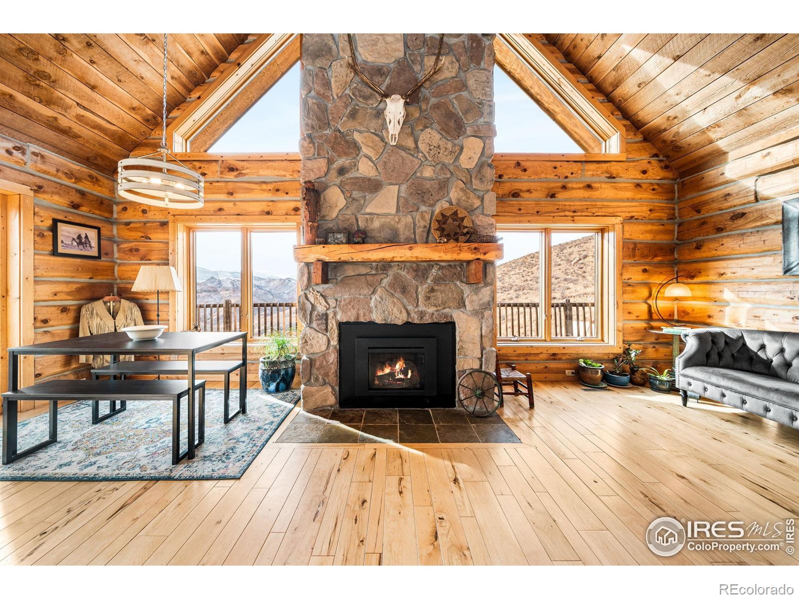 Homes for sale in Livermore, CO | 113 Purple Mountain Ct, Livermore, CO 80536 | MLS# IR1048089