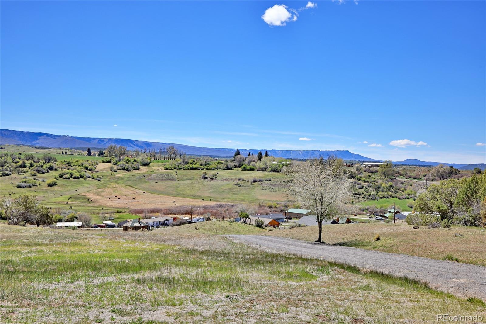 Homes for sale in Collbran, CO | 58798 Delores Dr, Collbran, CO 81624 | MLS# 9175436