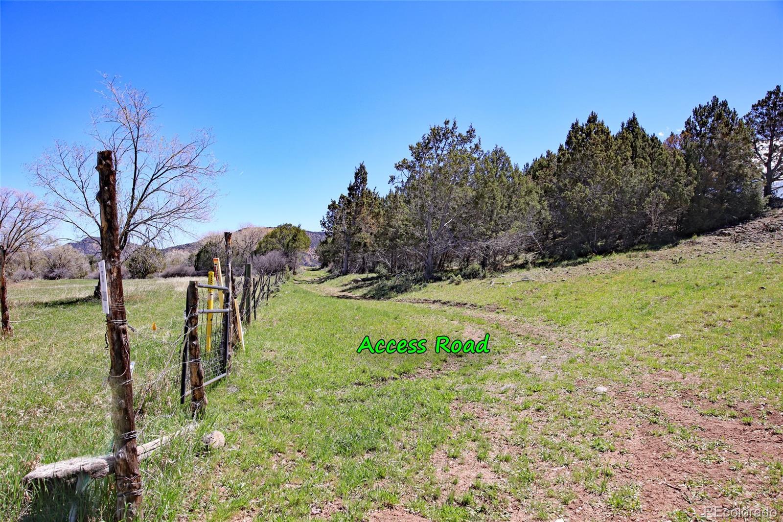 Homes for sale in Collbran, CO | 555 Glenarm Ave, Collbran, CO 81624 | MLS# 7766077