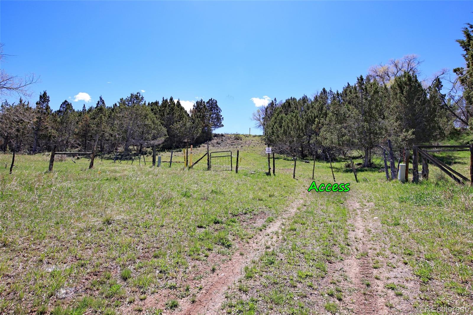 Homes for sale in Collbran, CO | 555 Glenarm Ave, Collbran, CO 81624 | MLS# 7766077