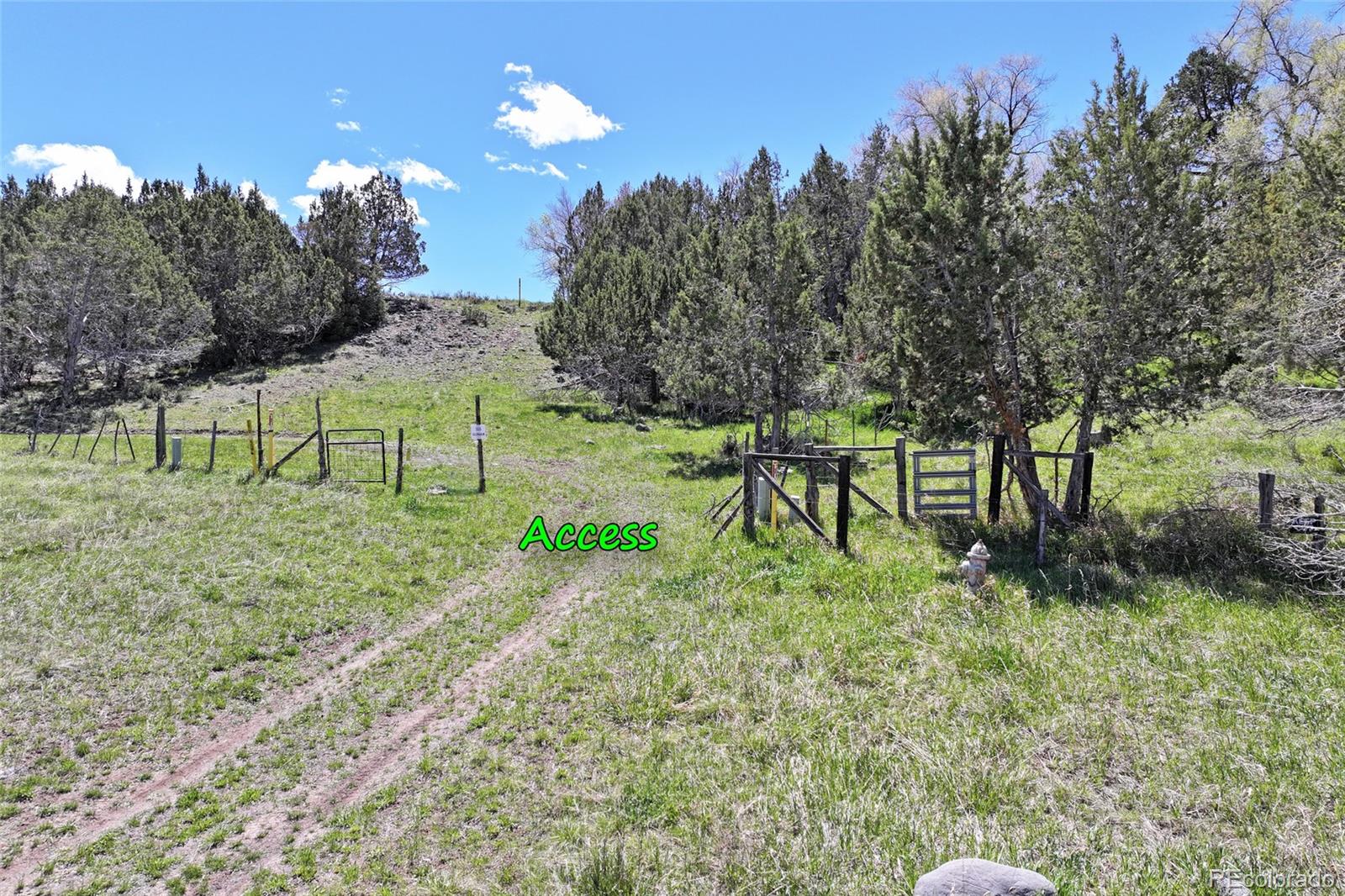 Homes for sale in Collbran, CO | 555 Glenarm Ave, Collbran, CO 81624 | MLS# 7766077