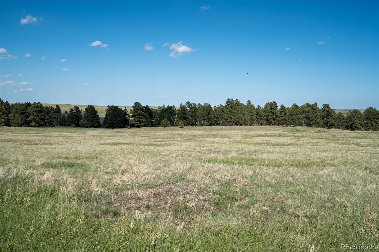 Photo 17 of Land for sale at Tbd 2 Paradise Cir, Elizabeth, CO 80107 | MLS# 6669980 | Listing updated on 2026-09-04