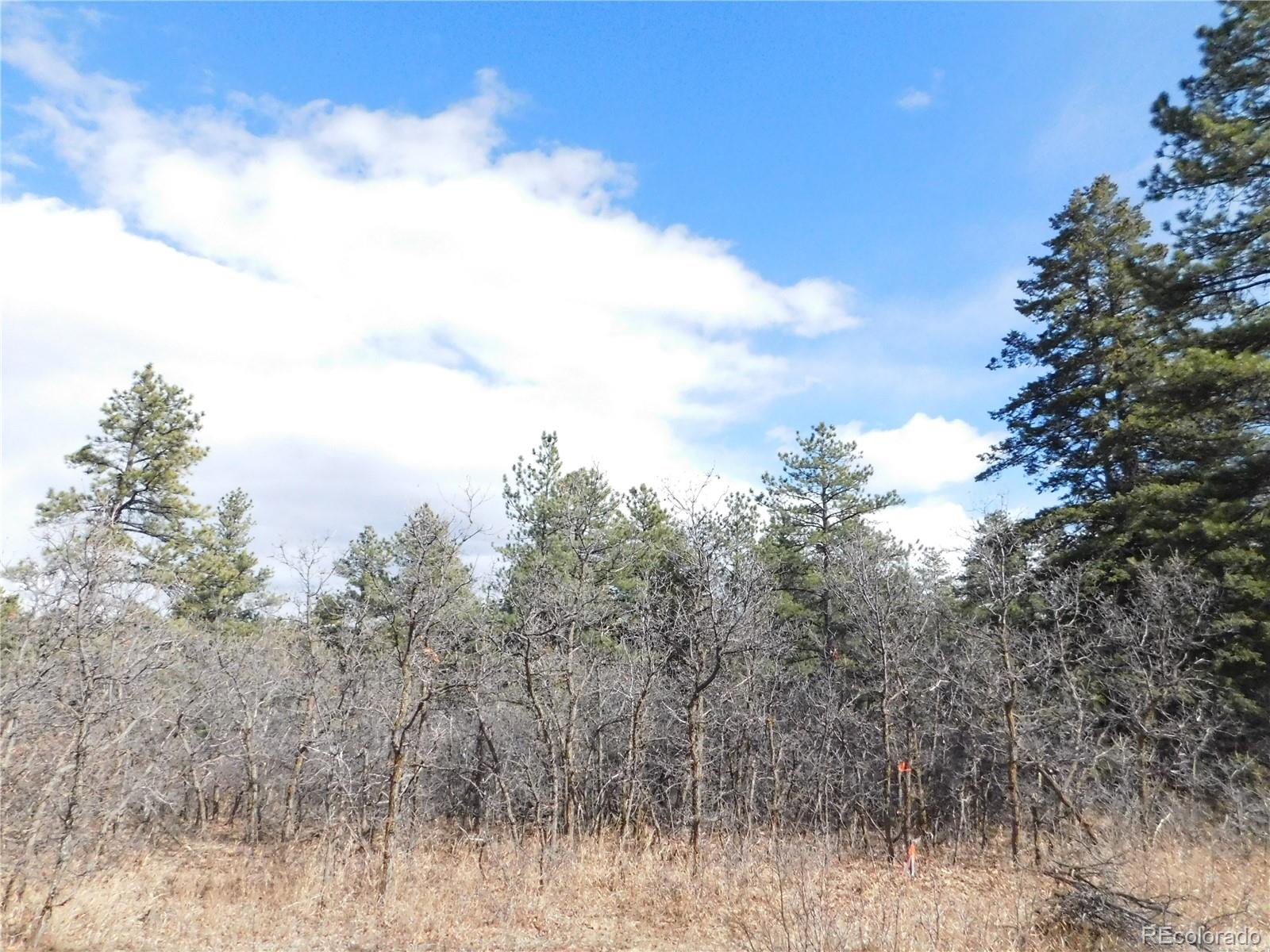 Homes for sale in Larkspur, CO | 8122 Acoma Dr, Larkspur, CO 80118 | MLS# 5420848