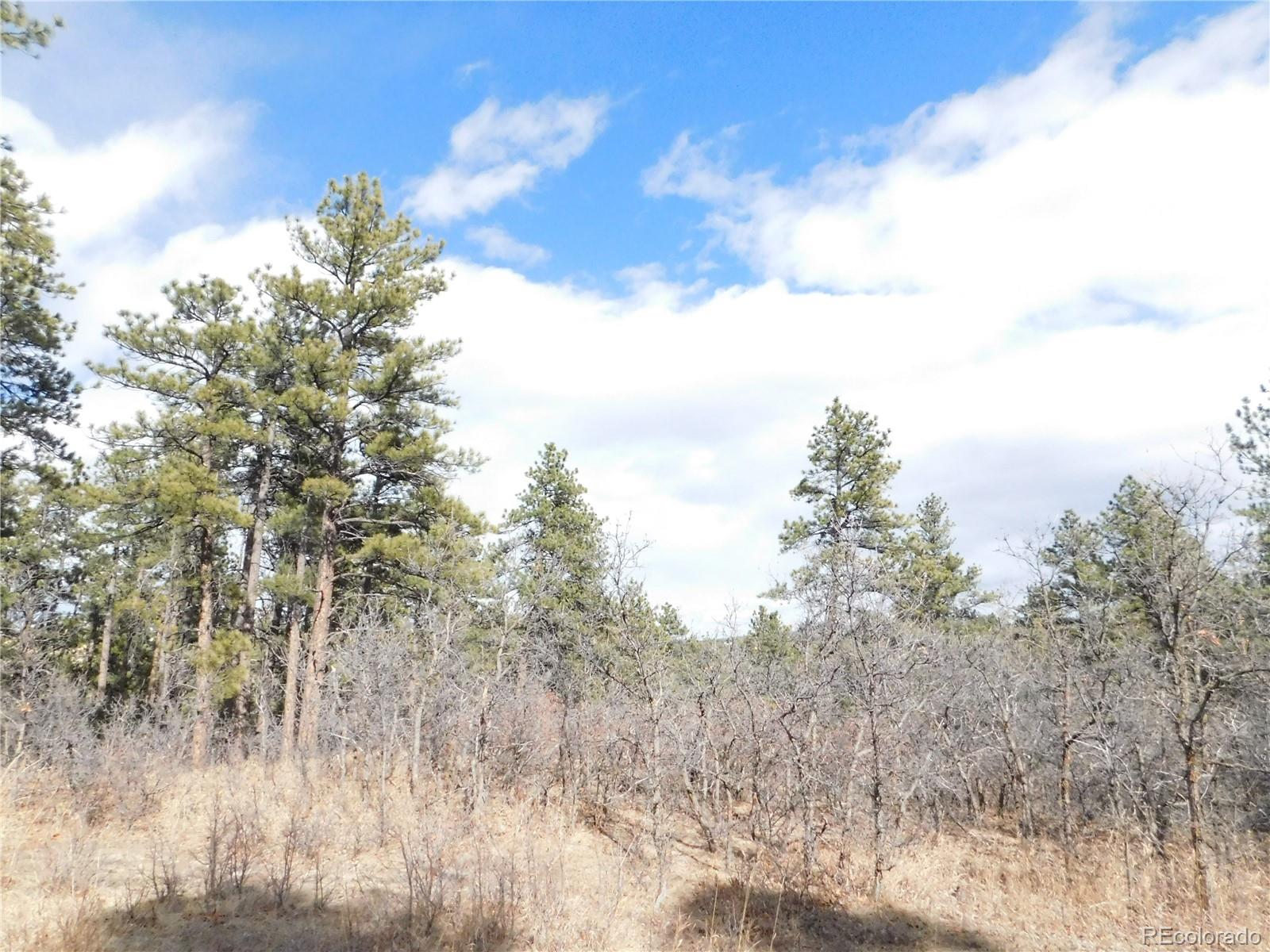 Homes for sale in Larkspur, CO | 8122 Acoma Dr, Larkspur, CO 80118 | MLS# 5420848