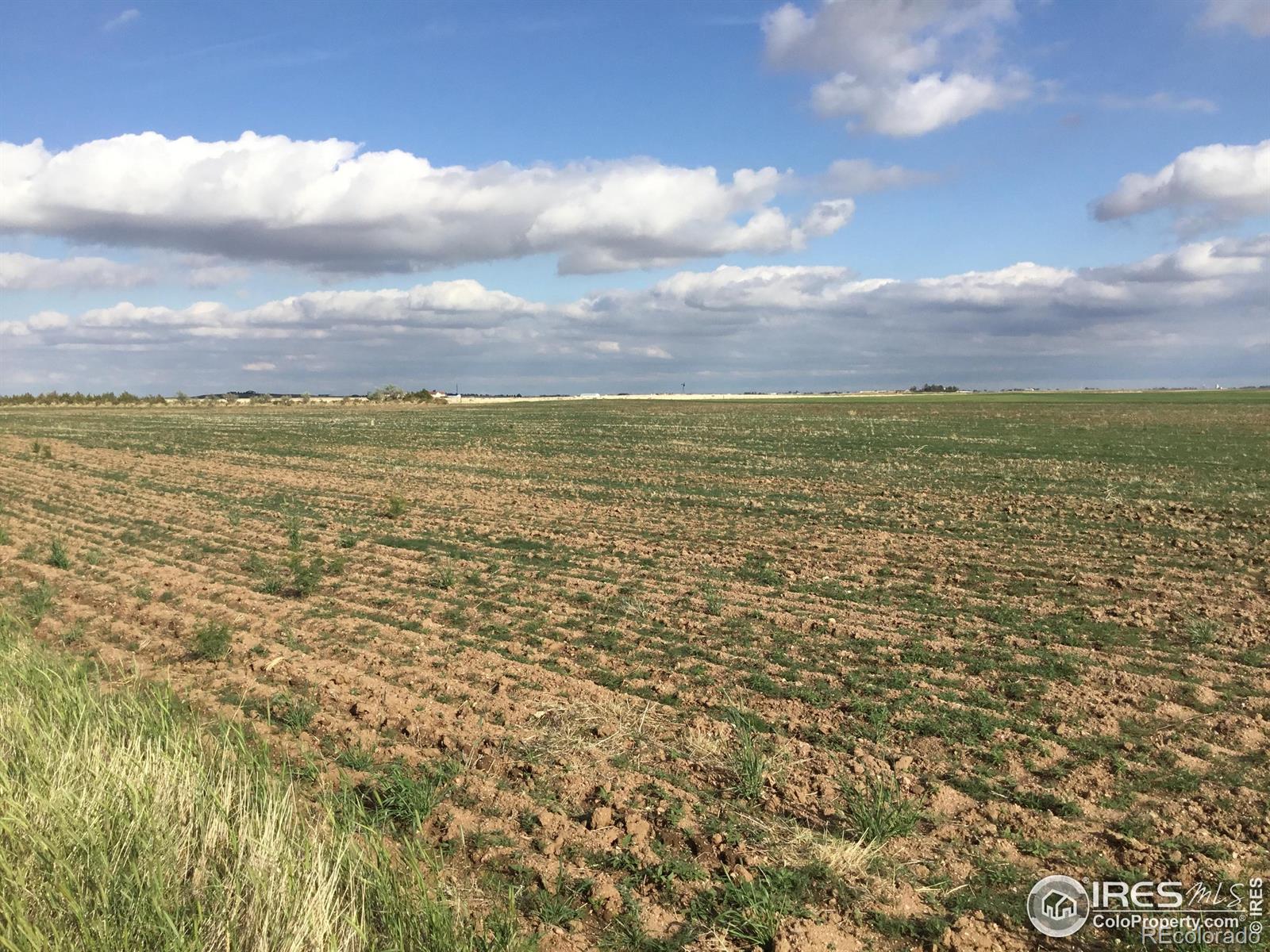 Homes for sale in Nunn, CO | County Road 96 Road, Nunn, CO 80648 | MLS# IR1052174