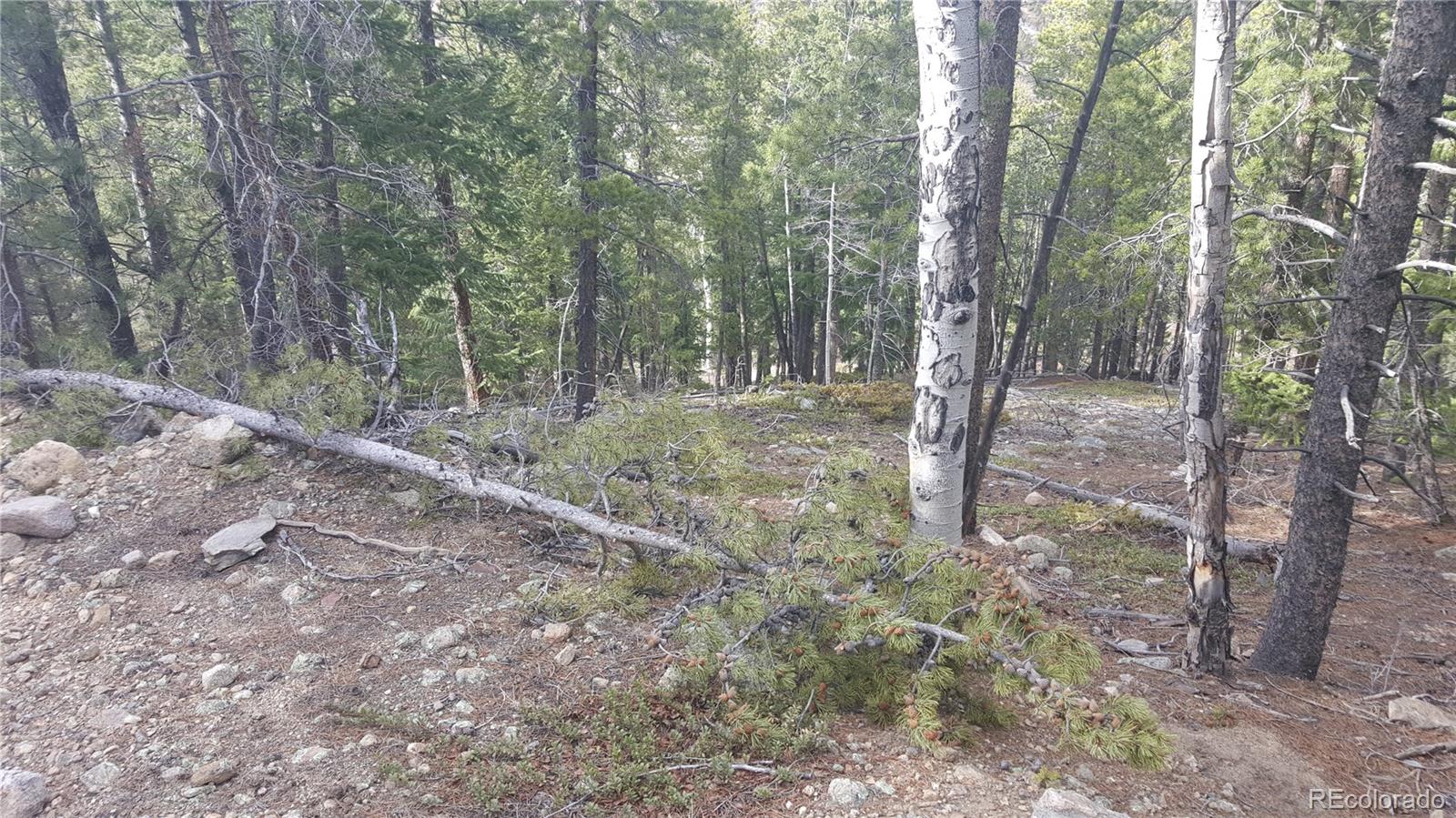 Homes for sale in Dumont, CO | 0 Ohio Gulch Trl, Dumont, CO 80436 | MLS# 9569699