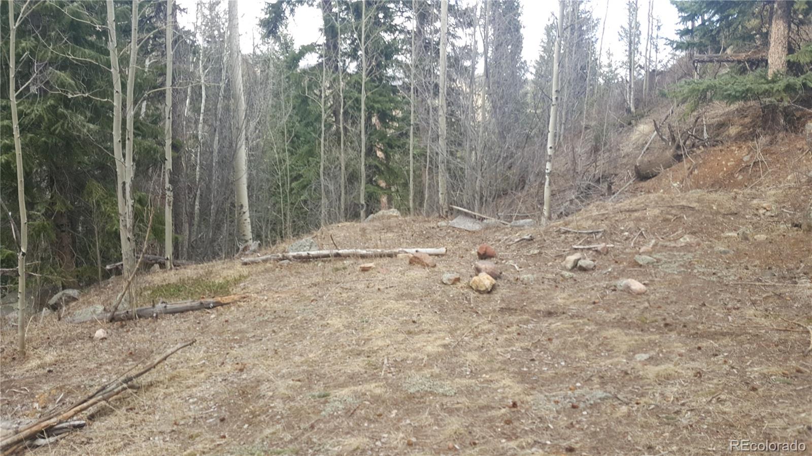 Homes for sale in Dumont, CO | 0 Ohio Gulch Trl, Dumont, CO 80436 | MLS# 9569699