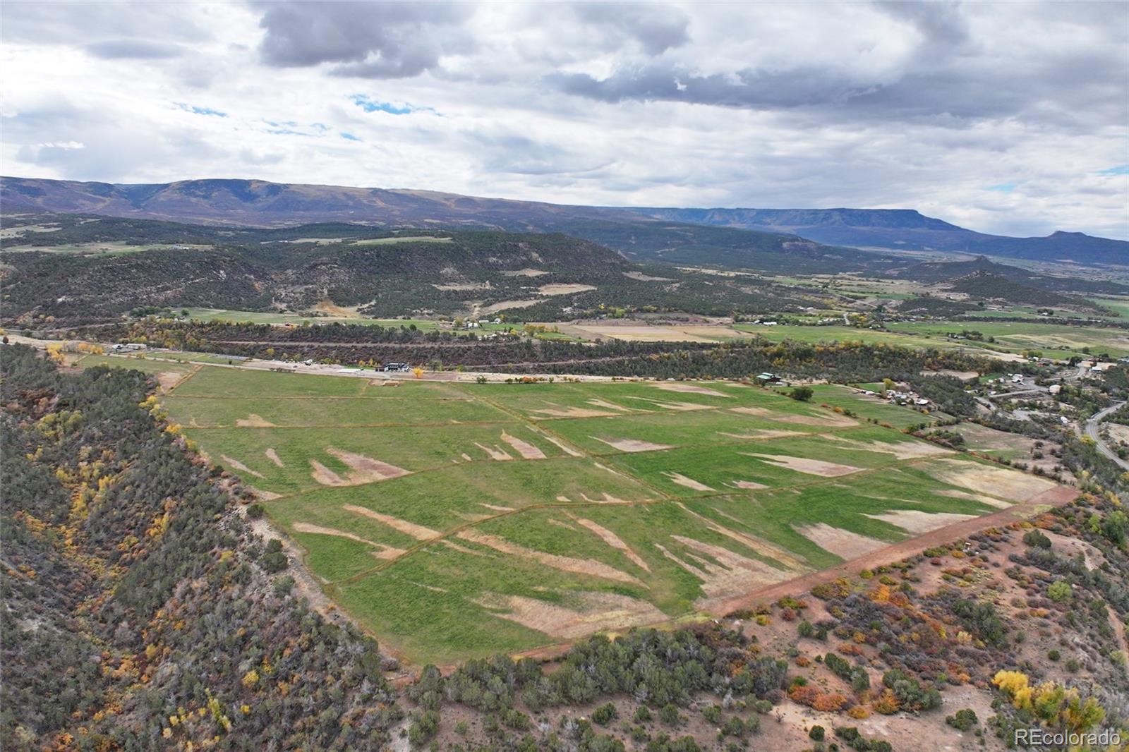 Homes for sale in Molina, CO | 12482 54 7/10 Rd, Molina, CO 81646 | MLS# 2446500