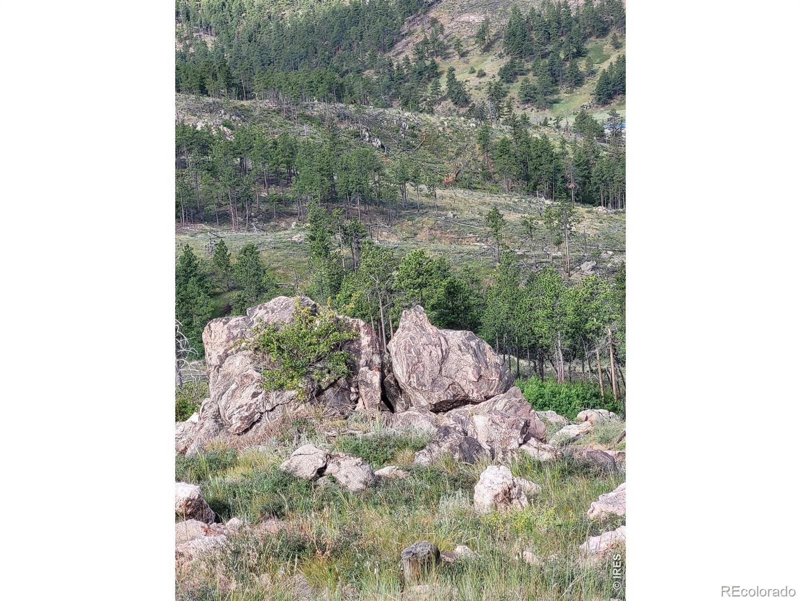 Homes for sale in Bellvue, CO | 1390 Walking Wind Dr, Bellvue, CO 80512 | MLS# IR1052778