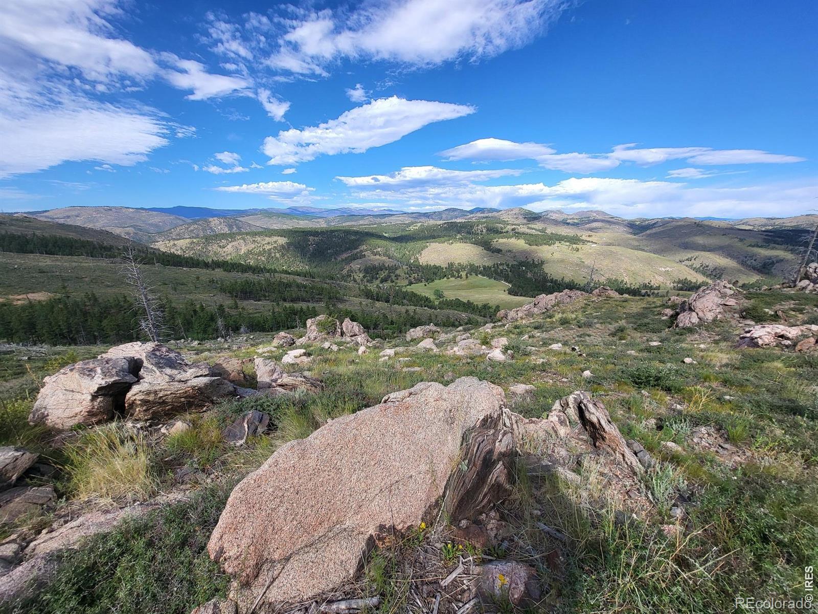 Homes for sale in Bellvue, CO | 1390 Walking Wind Dr, Bellvue, CO 80512 | MLS# IR1052778