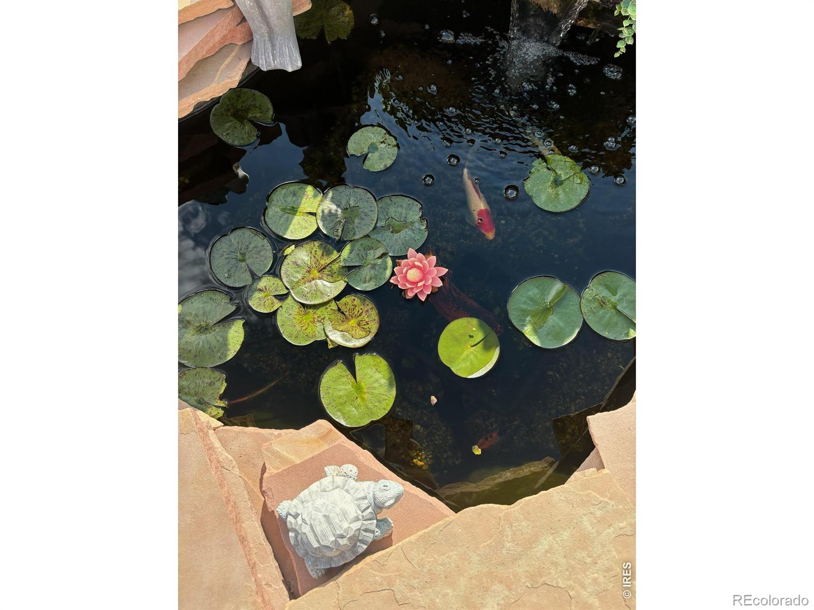 Homes for sale in Lochbuie, CO | 302 Horizon Ave, Lochbuie, CO 80603 | MLS# IR1053573