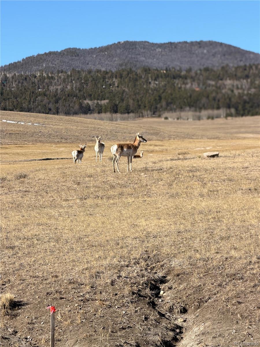 4th image of 3 Ranch, Hartsel, CO 80449 | MLS# 9922922