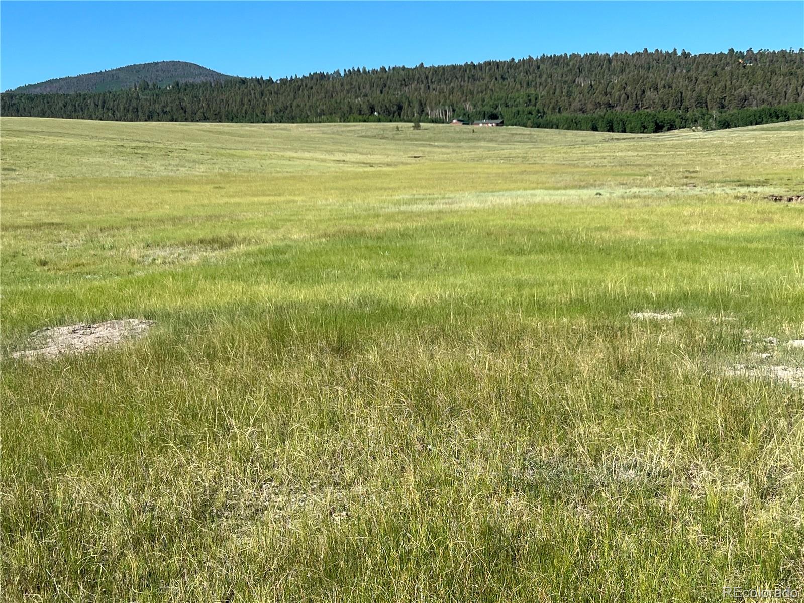 27th image of 3 Ranch, Hartsel, CO 80449 | MLS# 9922922