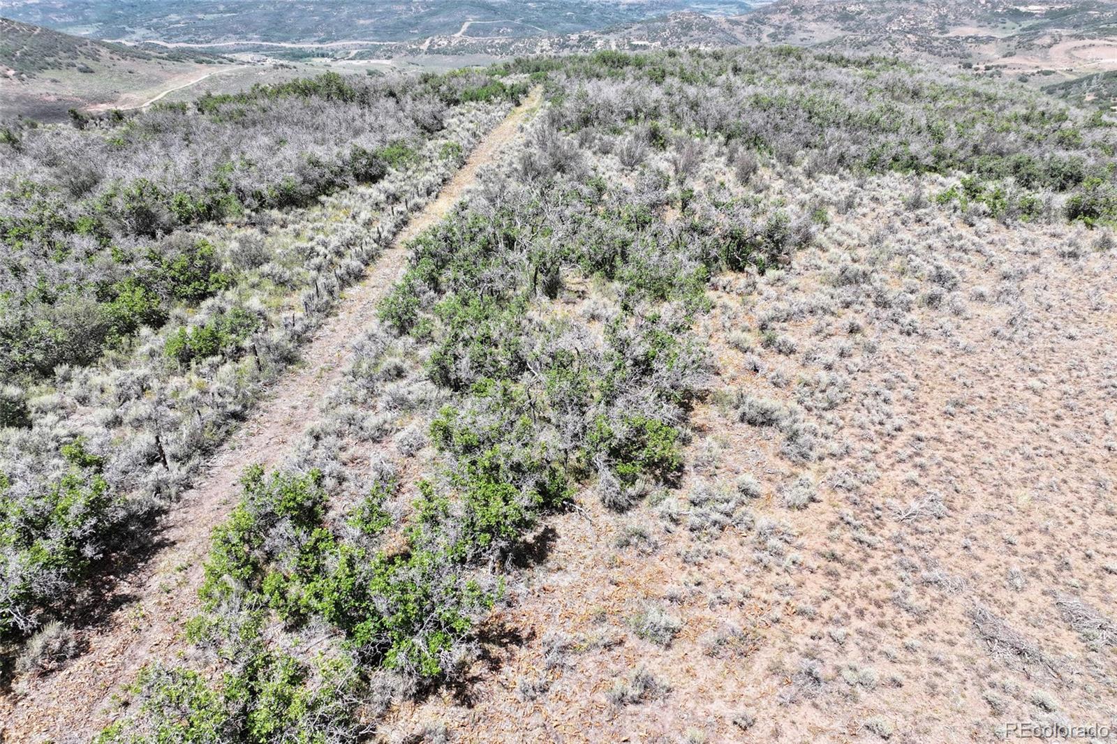 13th image of 000 Tbd, Collbran, CO 81624 | MLS# 2659177