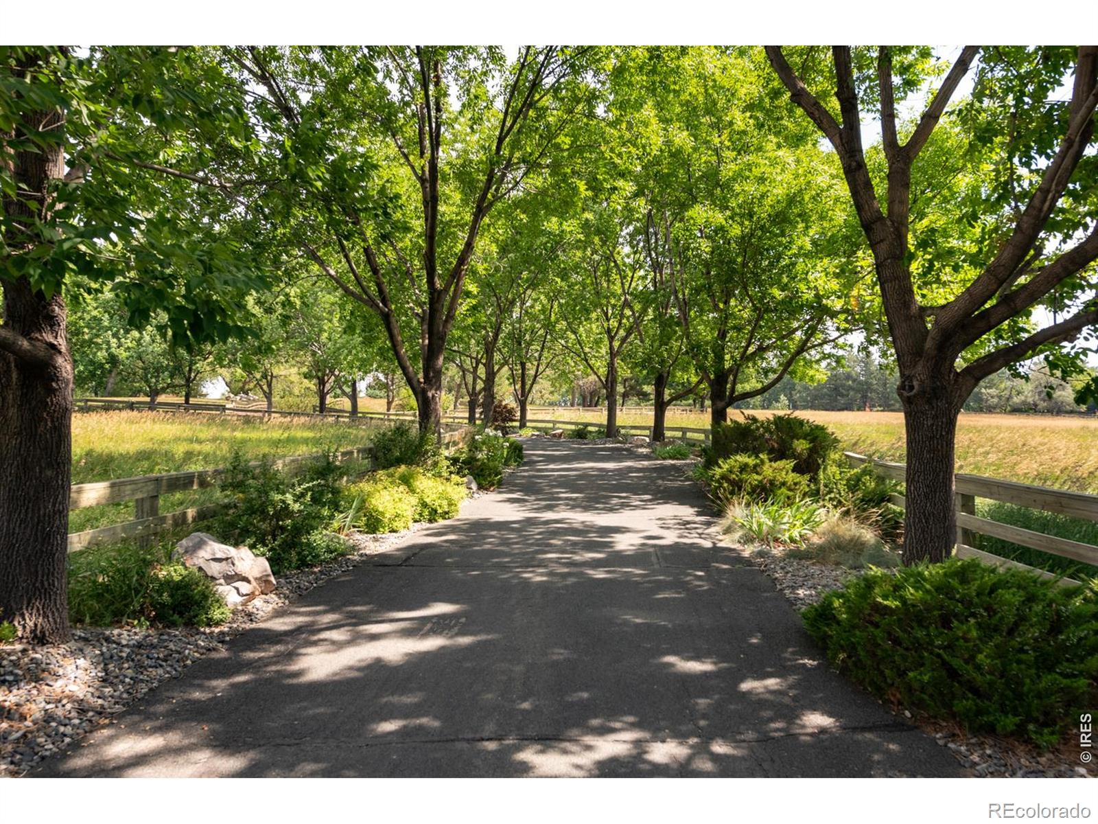 5th image of 7007 Rozena Dr, Longmont, CO 80503 | MLS# IR1055899