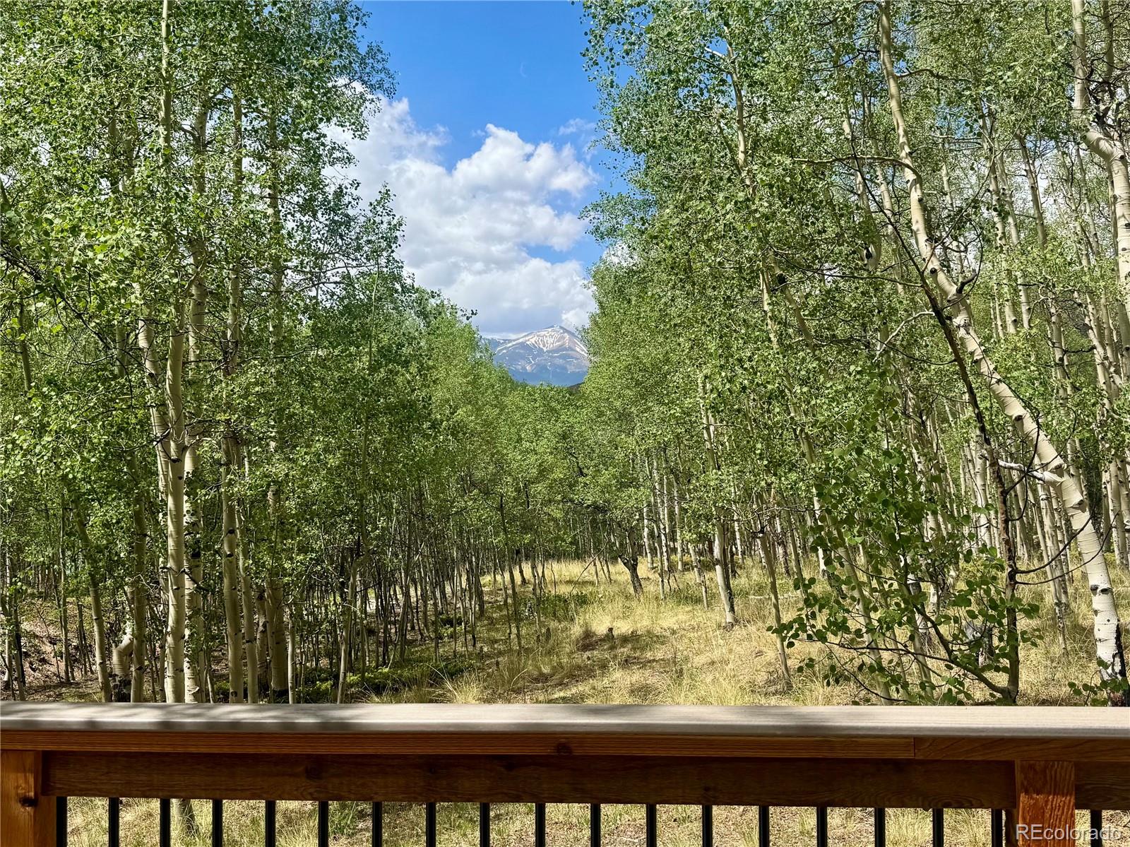 2nd image of 206 Empire Cir, Leadville, CO 80461 | MLS# 4690793