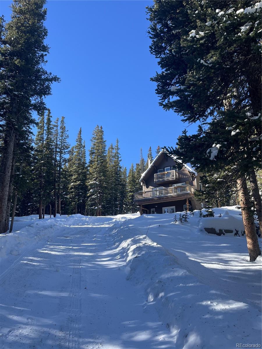 3rd image of 215 Bum Dr, Fairplay, CO 80440 | MLS# 6180106